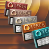 Best TEREA Flavors